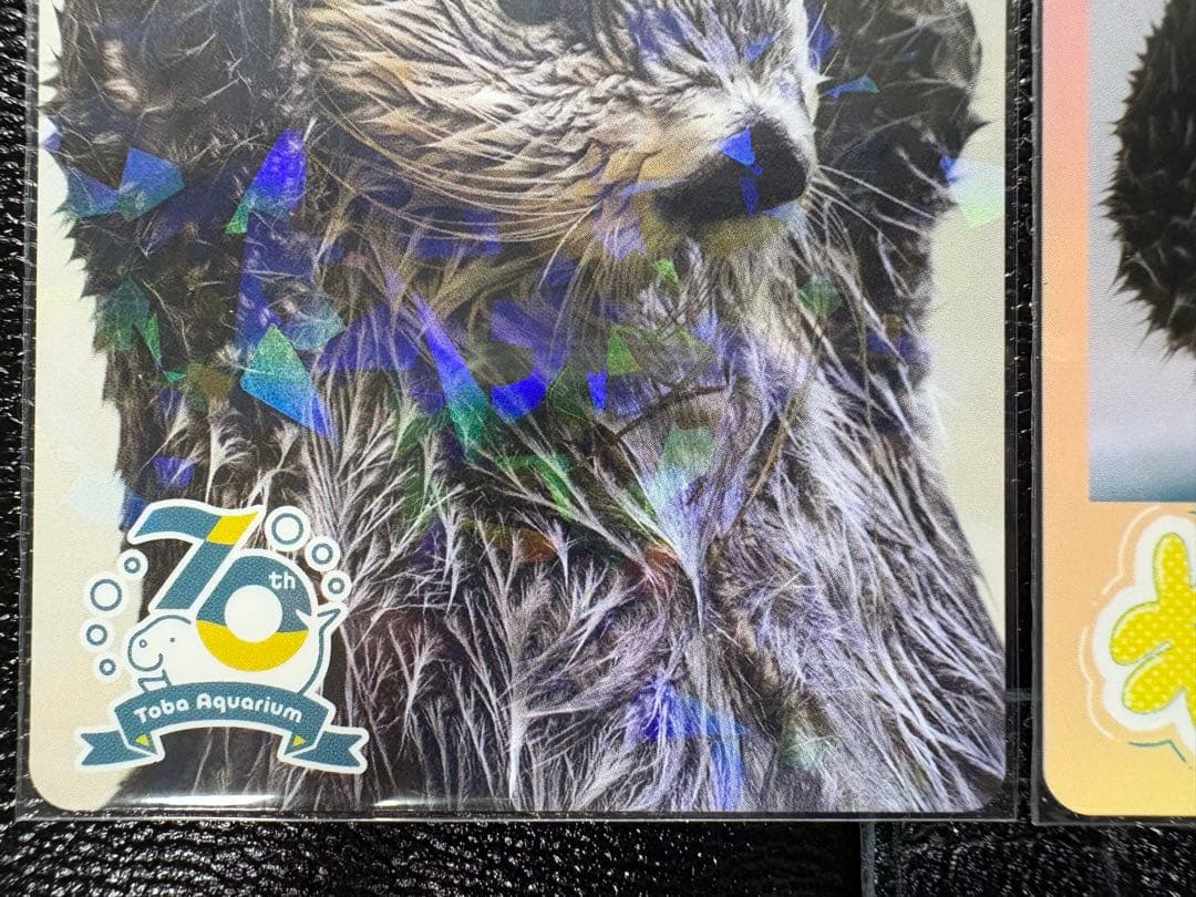 【鳥羽水族館】70周年記念 コレクションカード キラちゃんセット