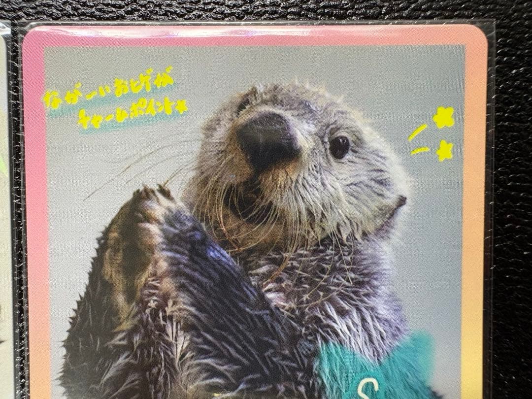 【鳥羽水族館】70周年記念 コレクションカード キラちゃんセット