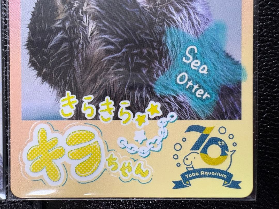 【鳥羽水族館】70周年記念 コレクションカード キラちゃんセット