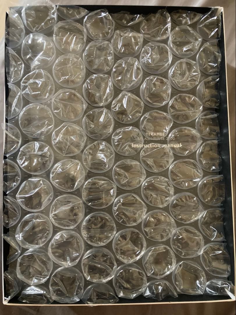 テラミースプラッシュパルス 2700【数回使用】