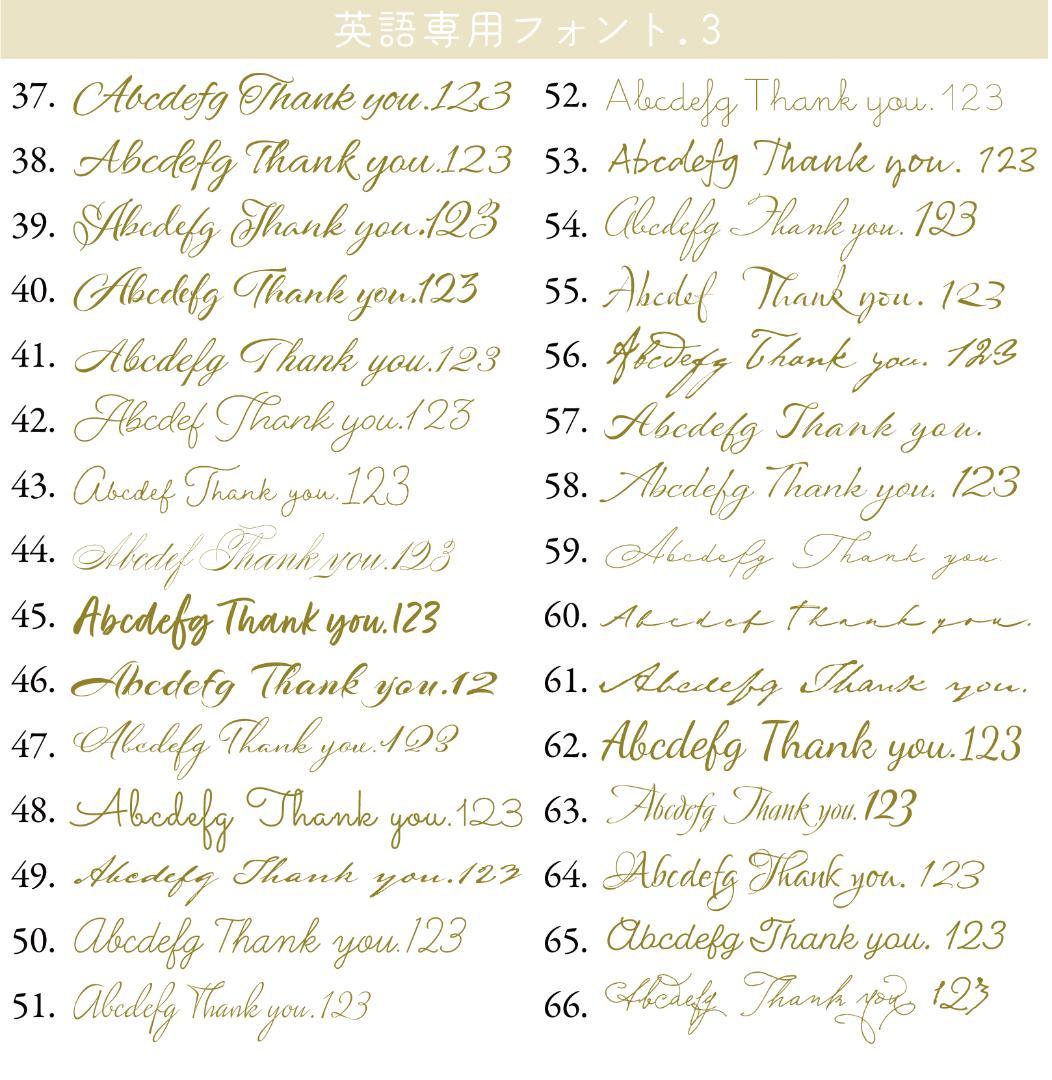 【toy10 様】／白無地ハーフ横長▶800枚