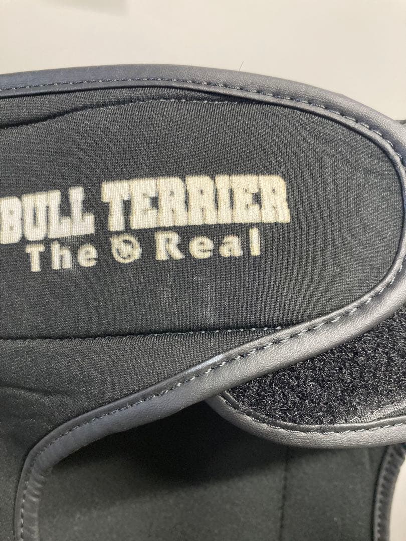 ケ*ム様 Bull Terrier ブルテリア　ヘッドギア、グローブ、シンガード