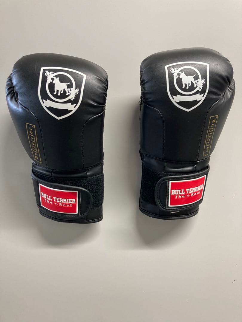 ケ*ム様 Bull Terrier ブルテリア　ヘッドギア、グローブ、シンガード