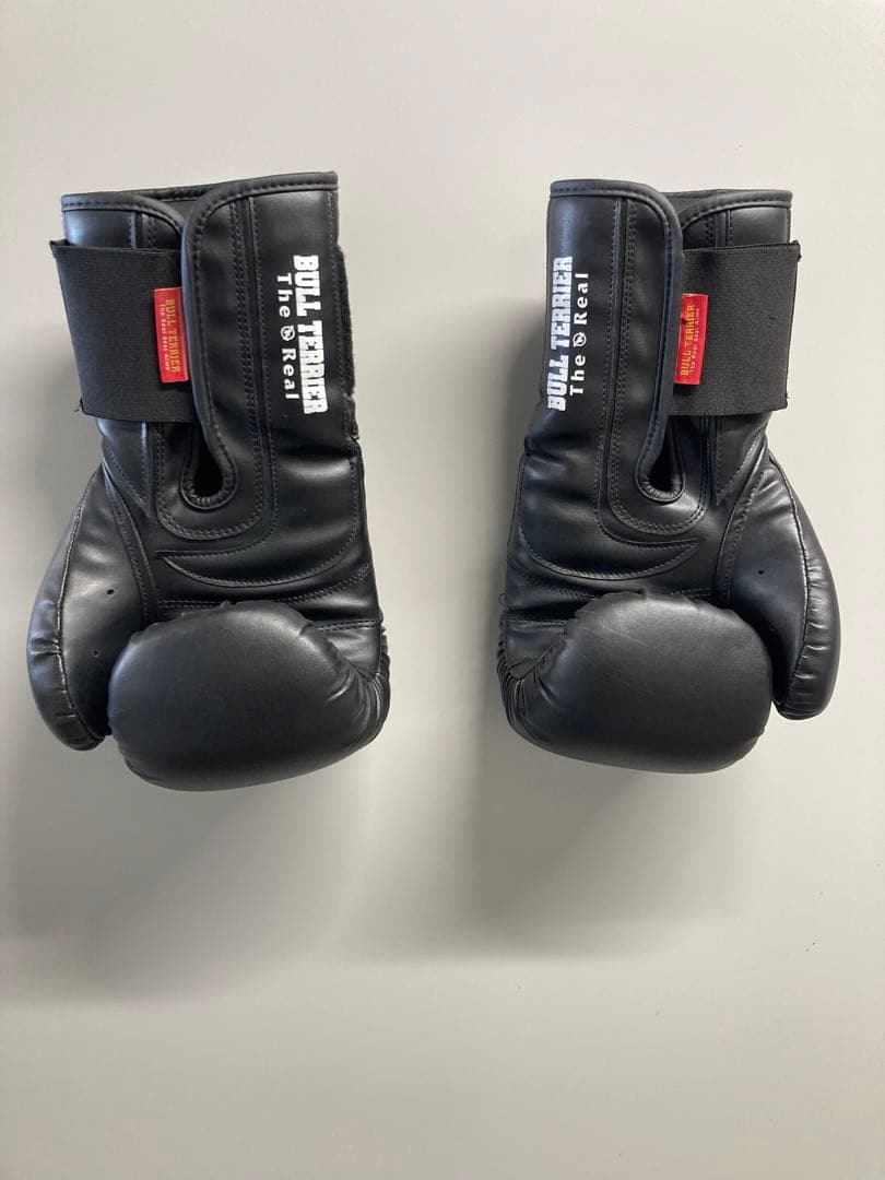 ケ*ム様 Bull Terrier ブルテリア　ヘッドギア、グローブ、シンガード