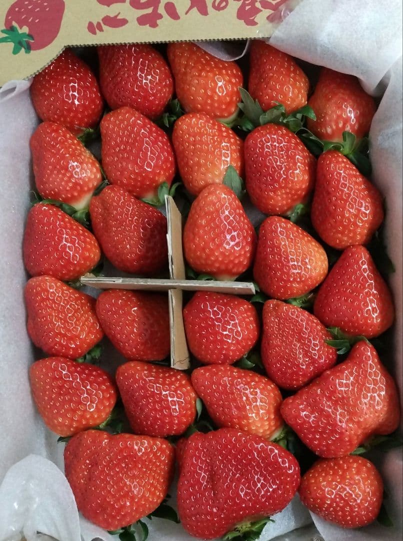 いちご11アスカルビー大粒特大奈良産