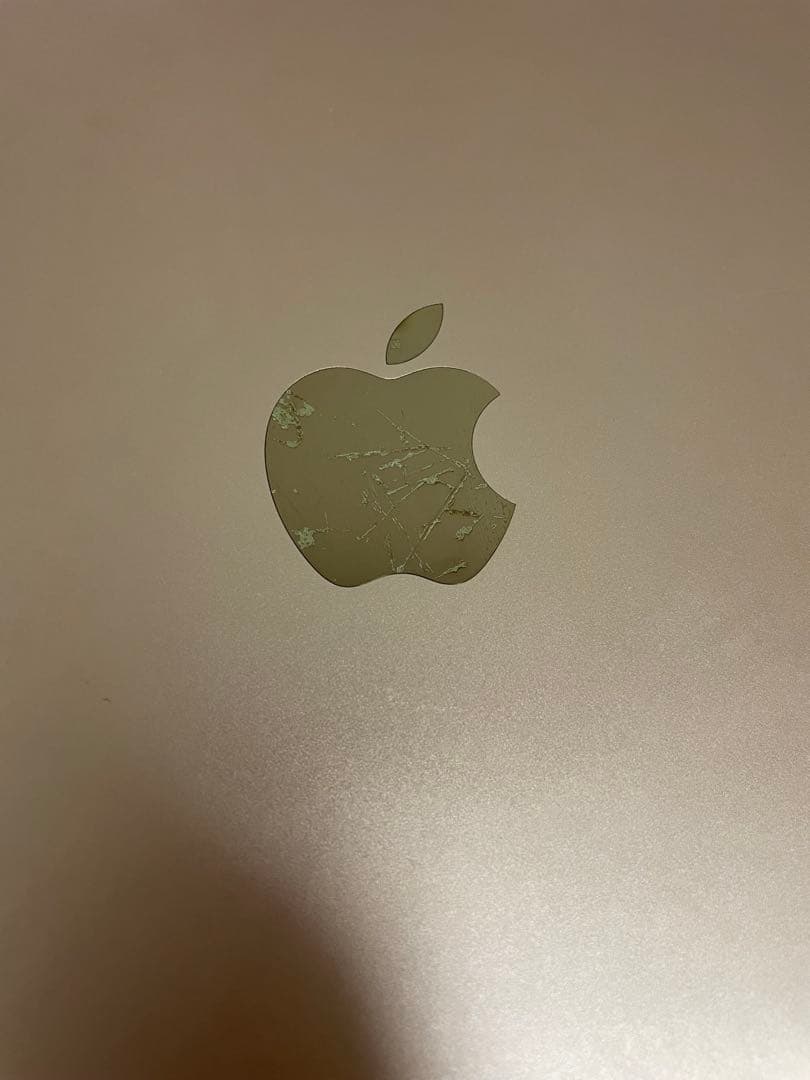 iPad Pro (9.7インチ) 128GB