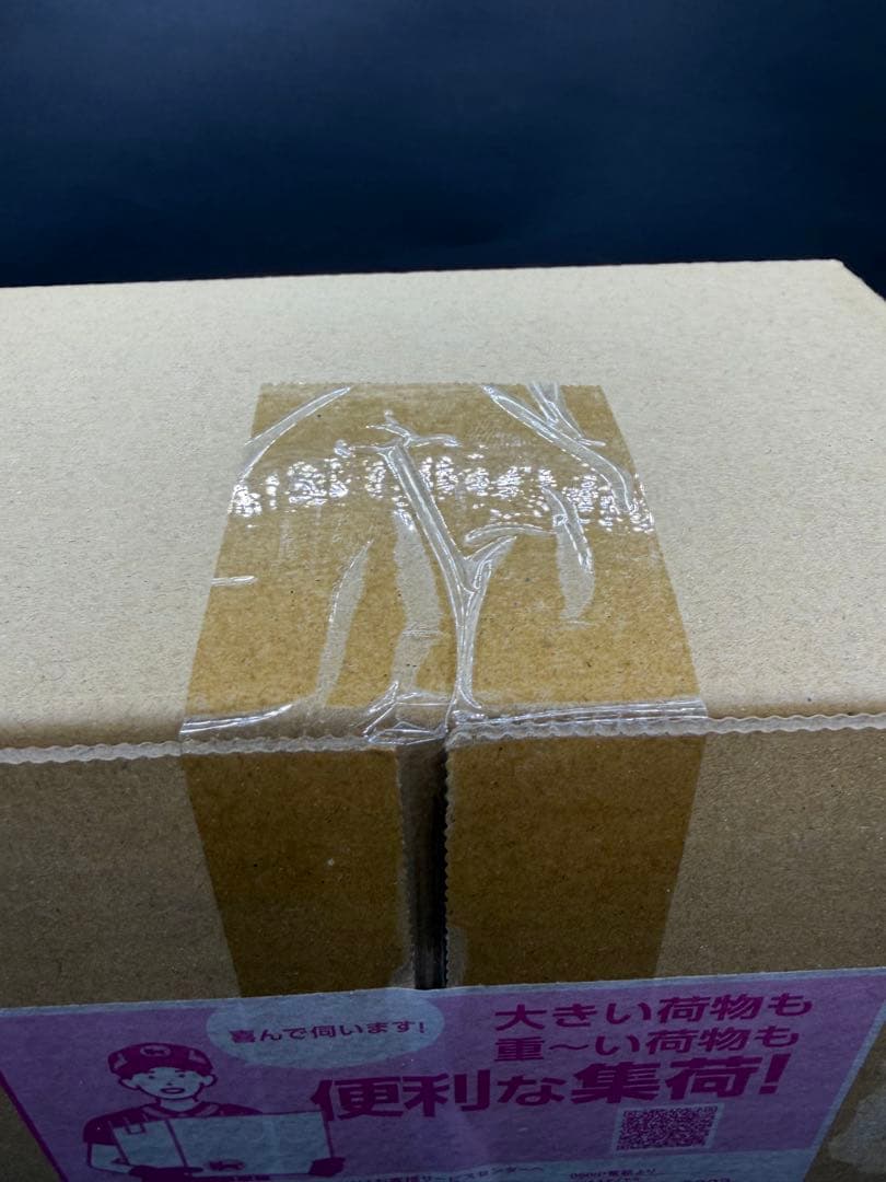 【新品・未開封シュリンク付き】スペシャルBOXポケモンセンターヒロシマ