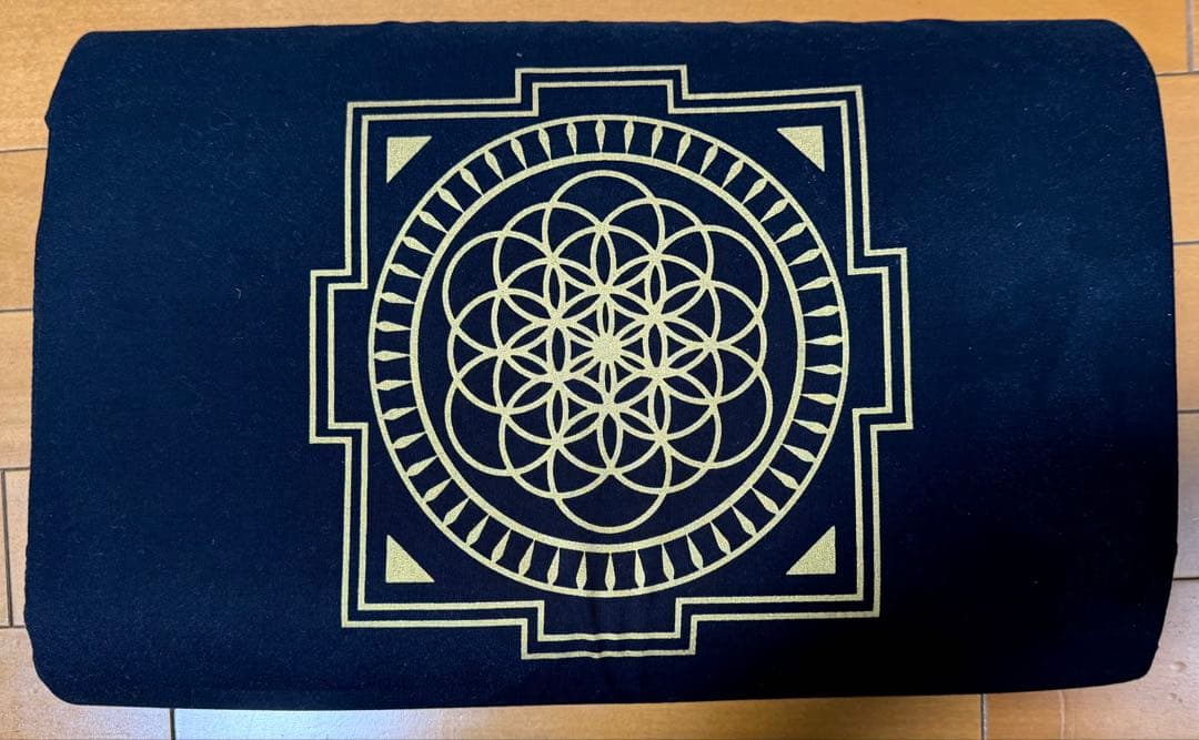 正規品　Shakti Mat Original - Black シャクティマット