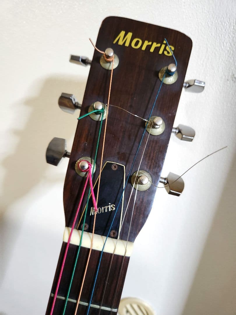 【 Morris W-18 】 #アコースティックギター