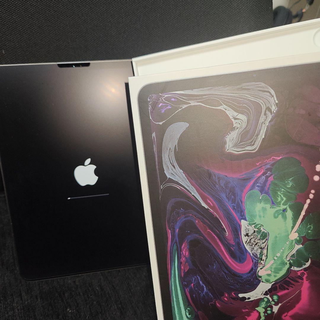 iPad Pro 11インチ 256GB (第1世代) Wi-Fi 本体と箱のみ