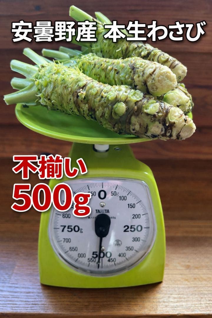 安曇野産 本生わさび 不揃い 500g（約4〜6本）農家直送