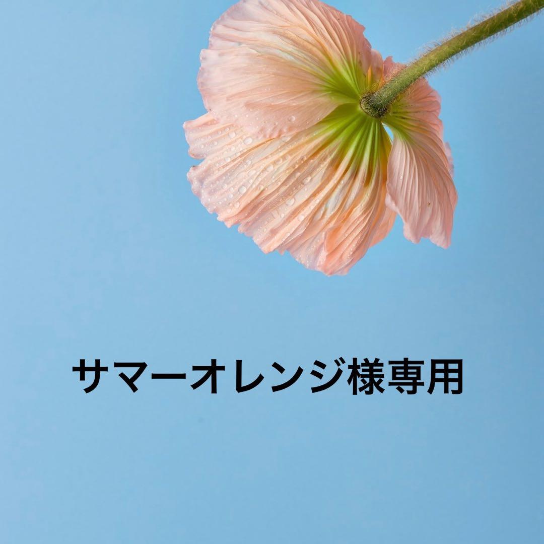 サマーオレンジ