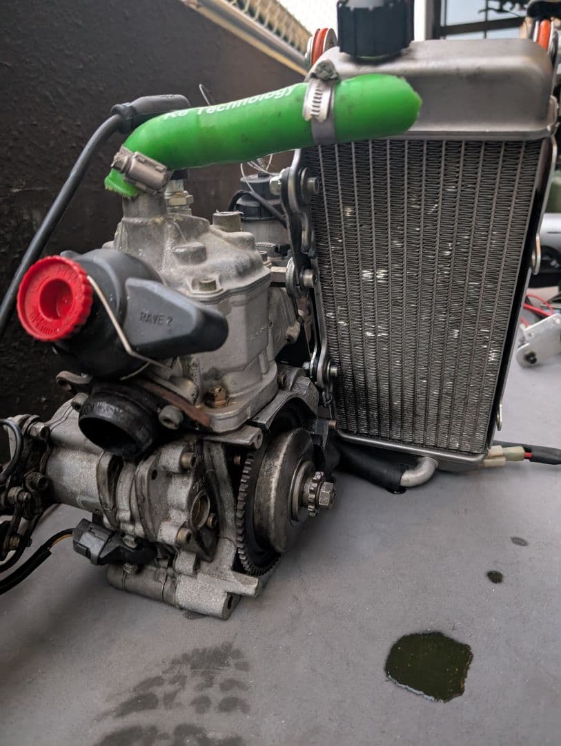 ROTAXMAX seniorLightsエンジンコンプリート