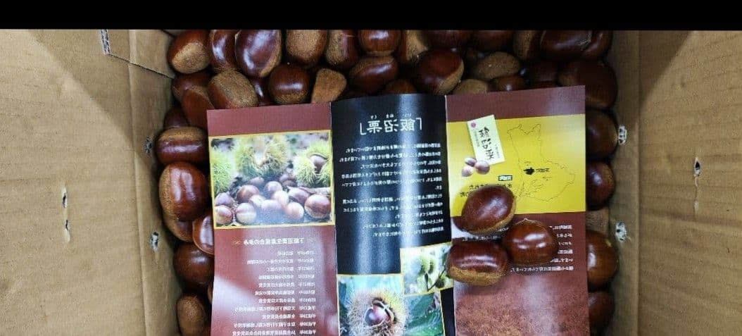 C*A様 ミ*ル様 高級　飯沼栗　10kg