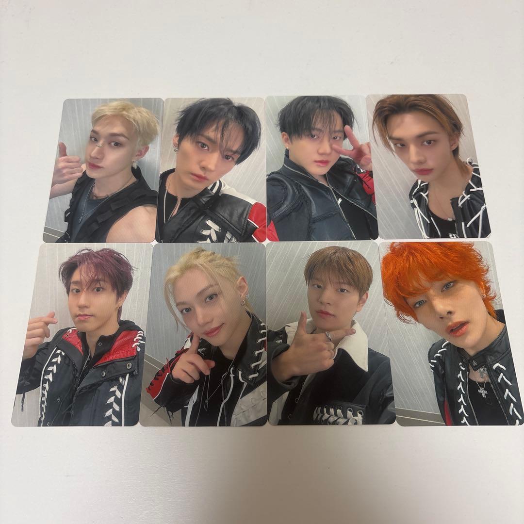 Straykids スキズ Hollow 幕張 会場限定 トレカ コンプ