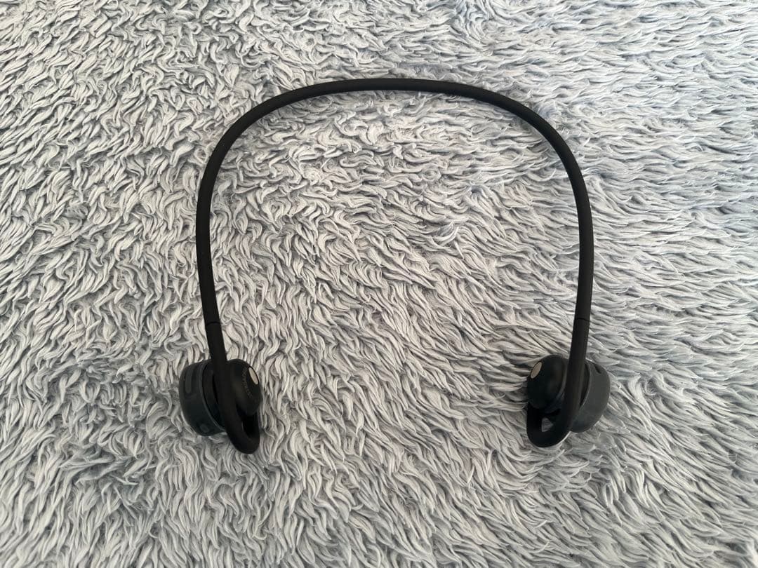 nwm GO イヤホン　フォグブラック