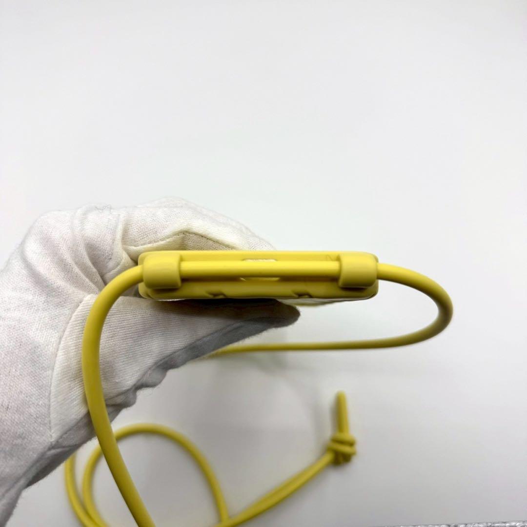 ボッテガ iPhone14Pro ケース イントレチャート ショルダーストラップ