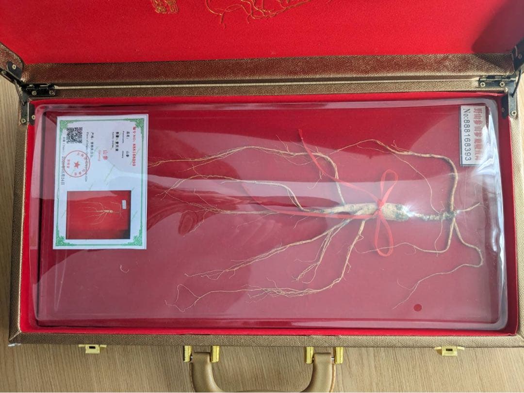 年末セール　 高麗人参　認定品　激レア