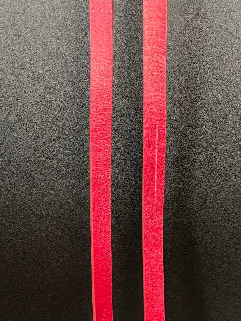 DIOR HOMME エディ期 サスペンダー