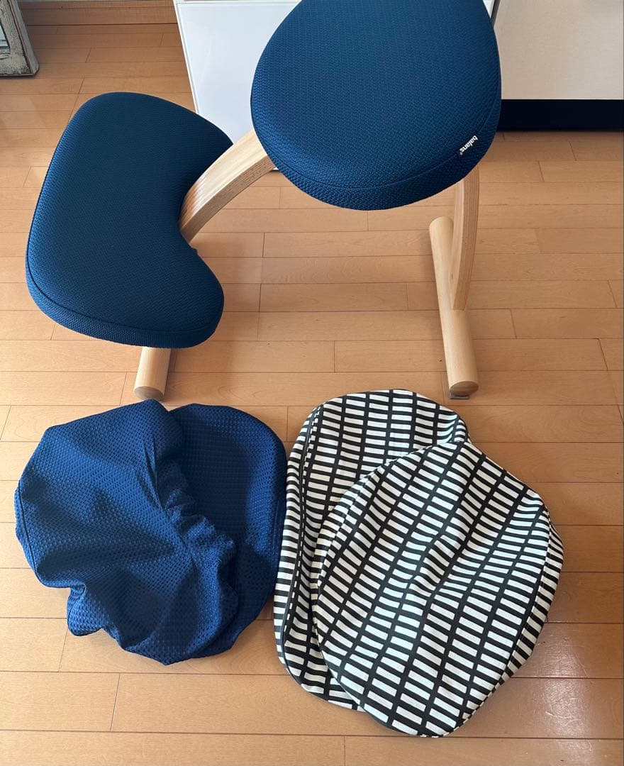 balans Easy バランスイージー 通常フレーム ネイビー　カバー2枚付き