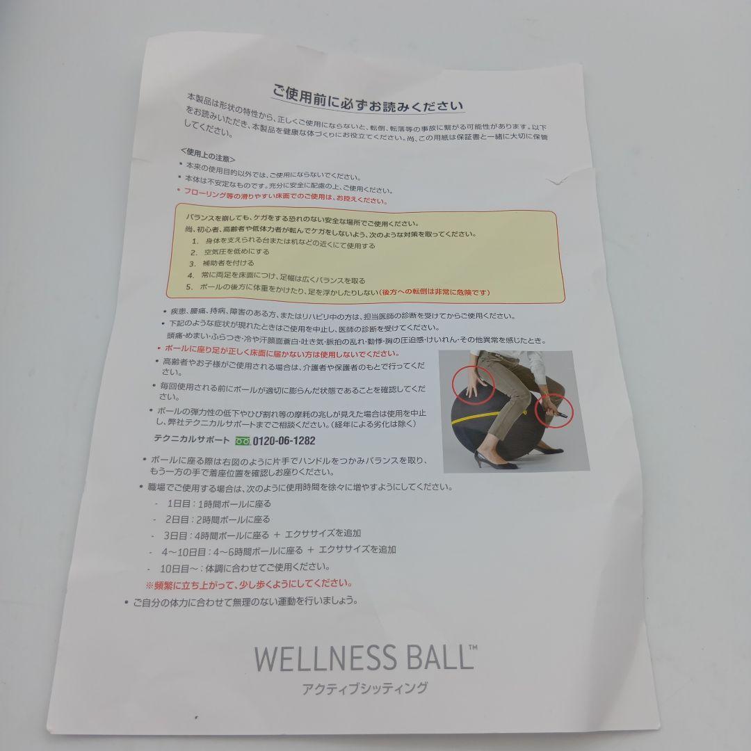 WELLNESS BALL　テクノジム アクティブシッティング