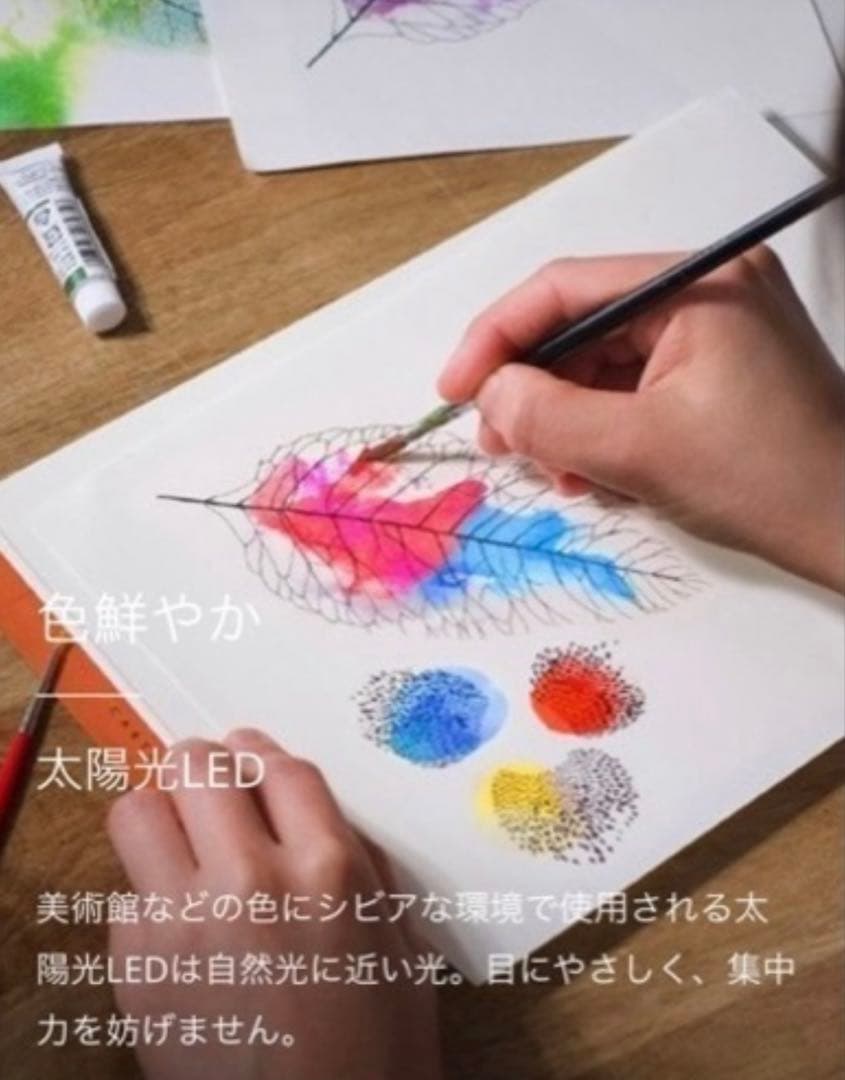 バルミューダ　ライト