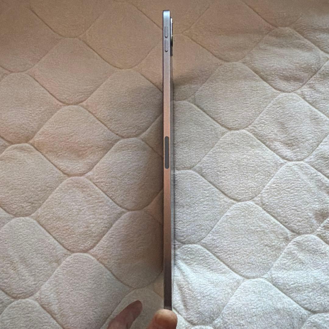 iPad Pro 2022 11インチ カバー・Apple pencil付き