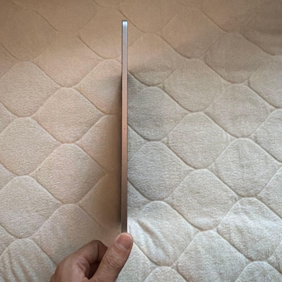 iPad Pro 2022 11インチ カバー・Apple pencil付き