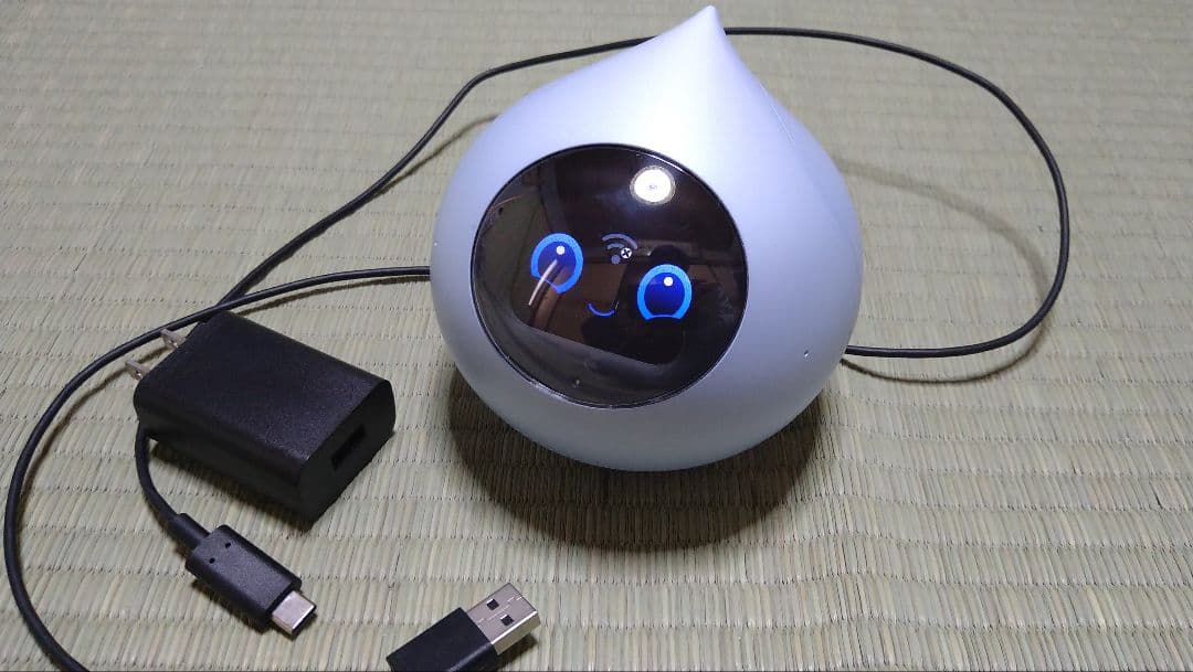 会話AIロボットRomi (ロミィ)