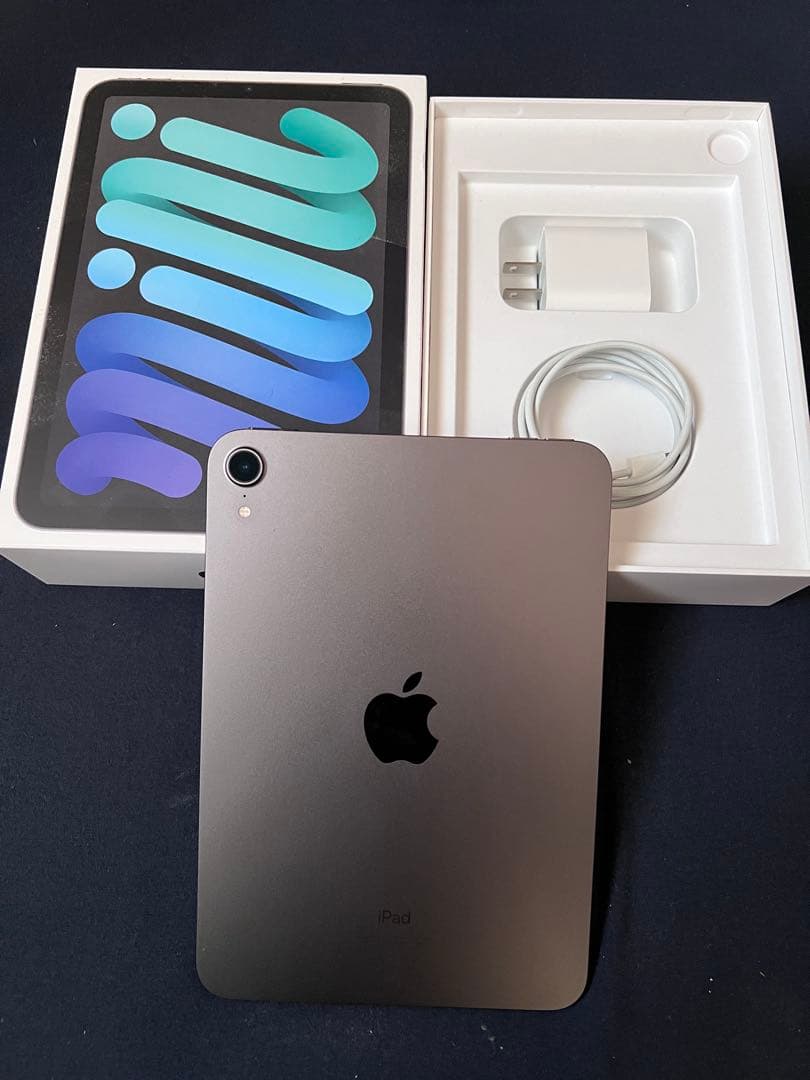 Apple iPad mini スペースグレイ 本体