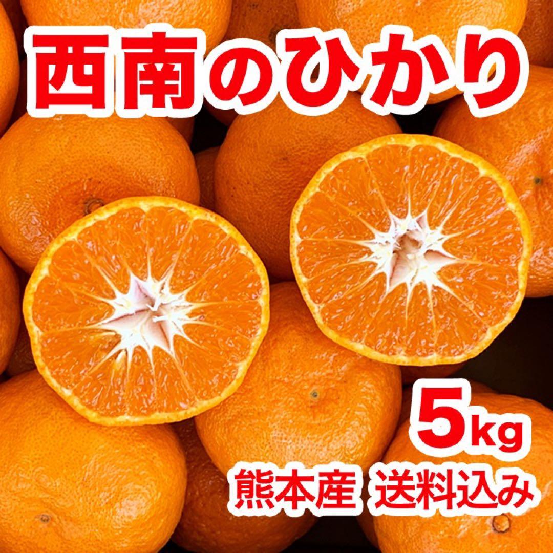 みかん15kg 送料込み 熊本産 甘い ミカン 15キロ 西南のひかり