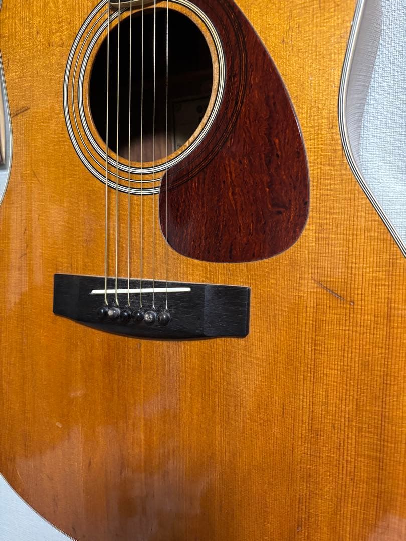 ＹＡＭＡＨＡ　FG-580 ニューハカランダ