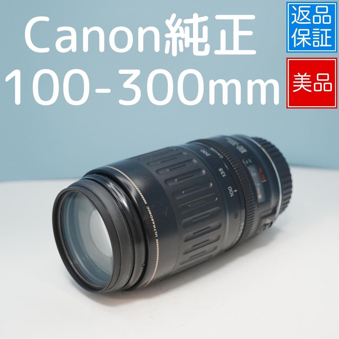 Canon純正 100-300mm 望遠レンズ 美品 a4675
