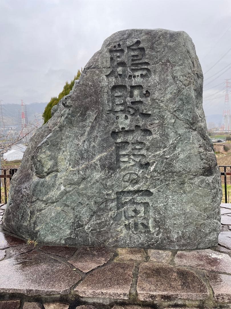 篳篥用蘆舌／最高級品質《極み》