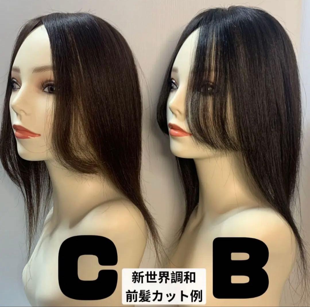 真2025新世界レミー100%ウィッグ　フルウィッグ　シルクスキン　医療ウィッグ