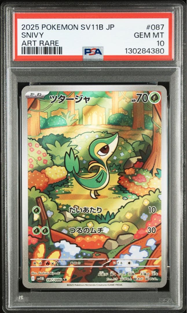 PSA10 ３連番 御三家 ツタージャ ポカブ ミジュマル AR ブラホワ