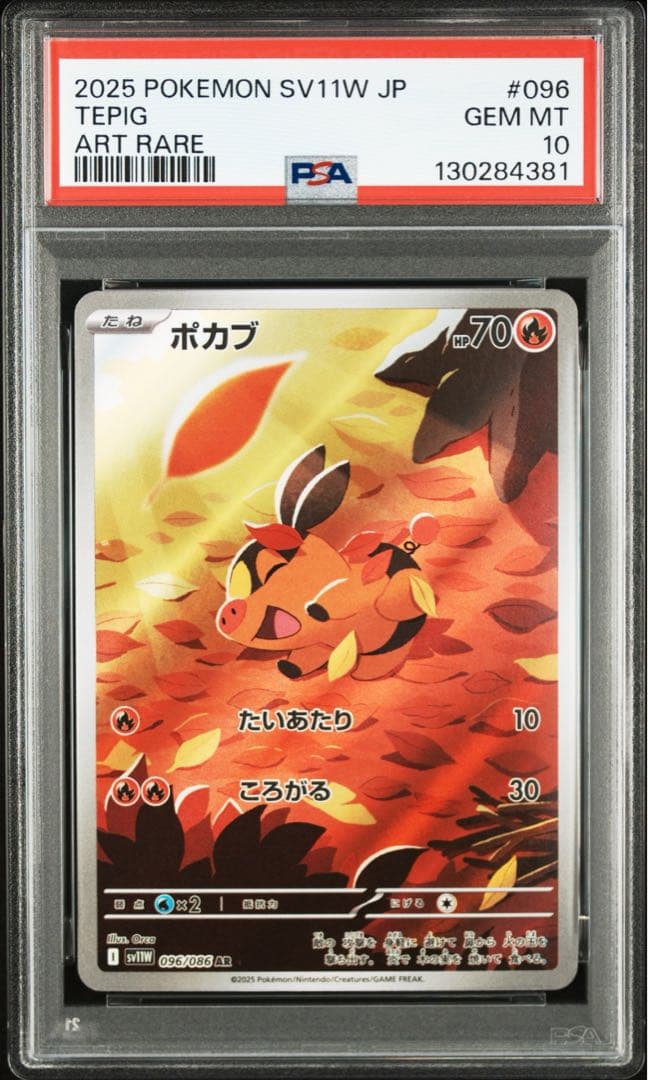 PSA10 ３連番 御三家 ツタージャ ポカブ ミジュマル AR ブラホワ