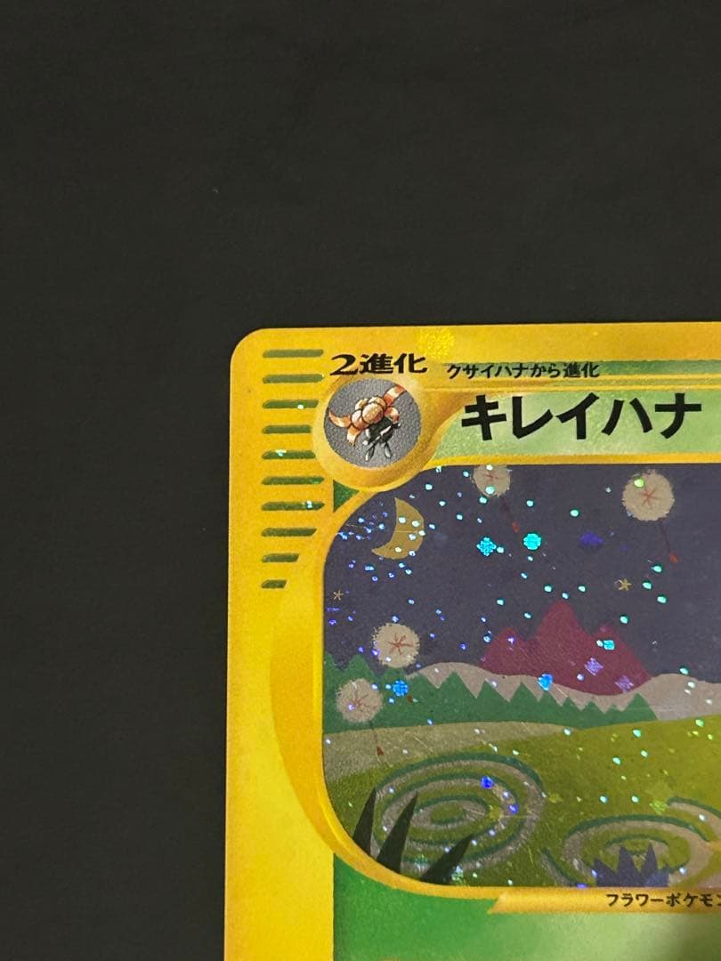 キレイハナ　カードe アンリミ キラ eカード ポケカ 海からの風
