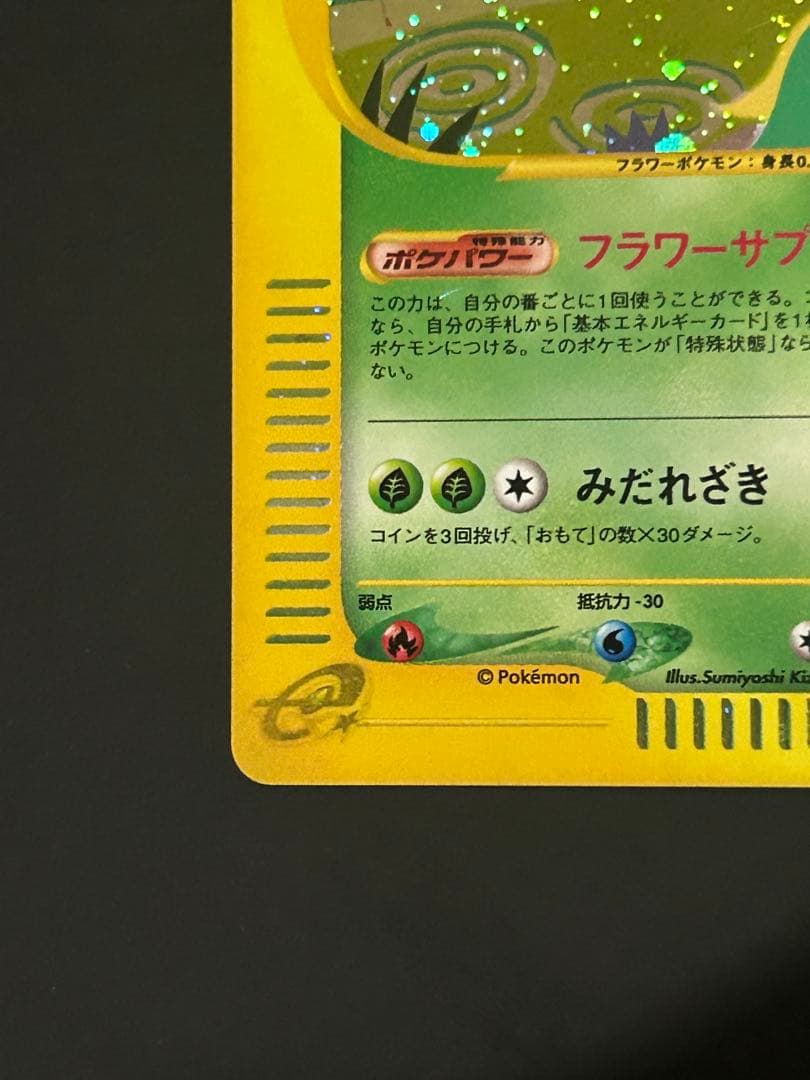 キレイハナ　カードe アンリミ キラ eカード ポケカ 海からの風