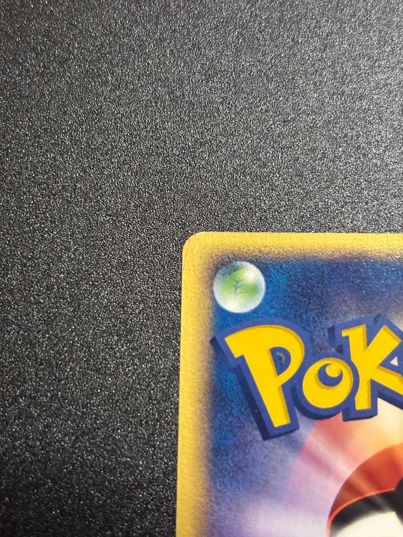 ポケパークのピカチュウ 1枚 ポケモンカード プロモーション