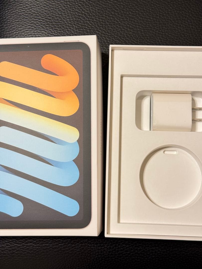 ipadmini (第6世代) 激レアios15