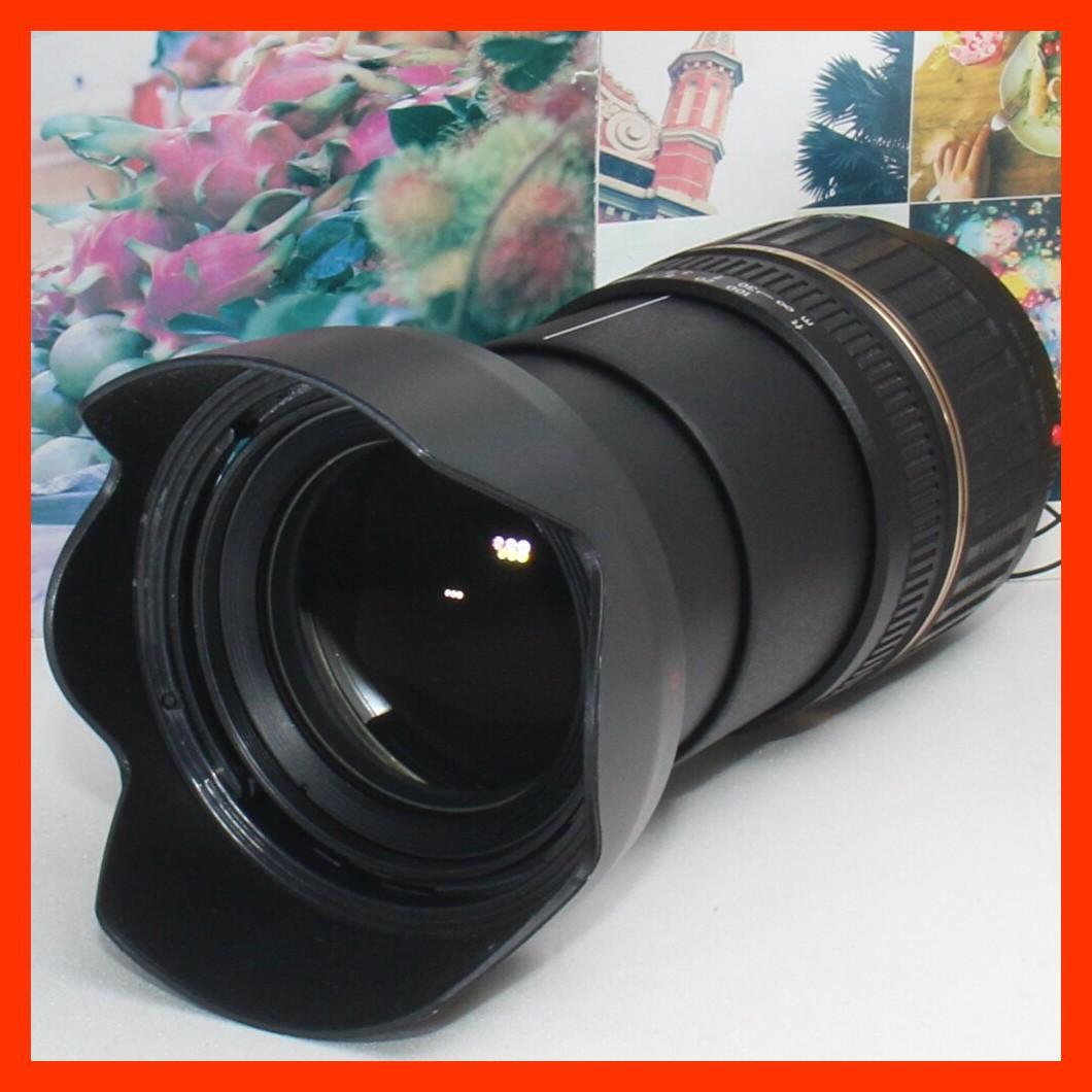 ❤️１本で近遠対応の神レンズ❤️タムロン 18-200mm ソニーaマウント用