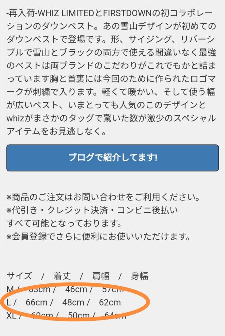 【古着】whizlimited　雪山　ファーストダウン　firstdown