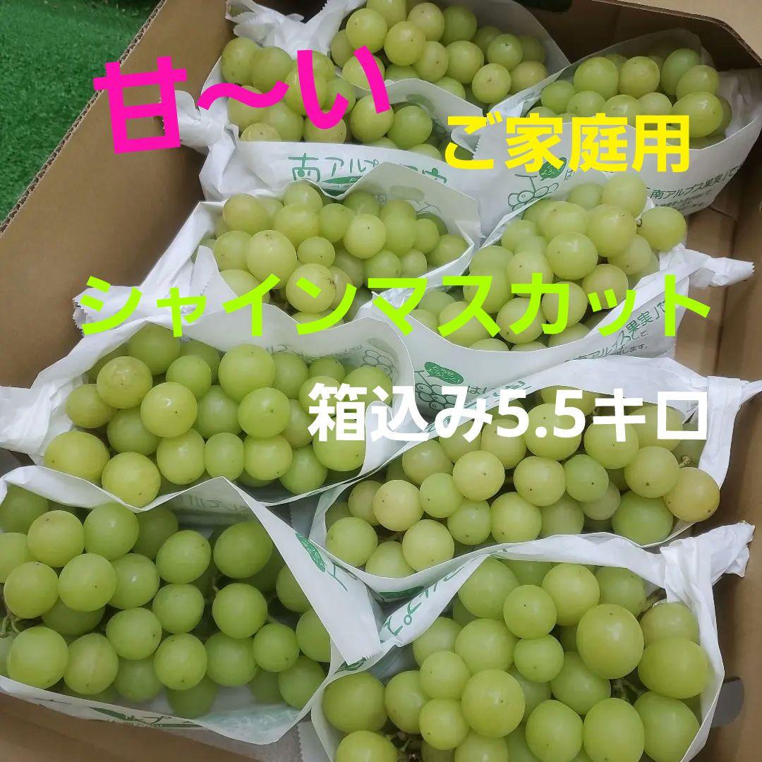 7️⃣ 山梨県産 シャインマスカット ９房入り 箱込み5.5キロ