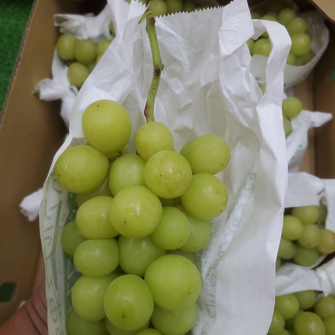 7️⃣ 山梨県産 シャインマスカット ９房入り 箱込み5.5キロ