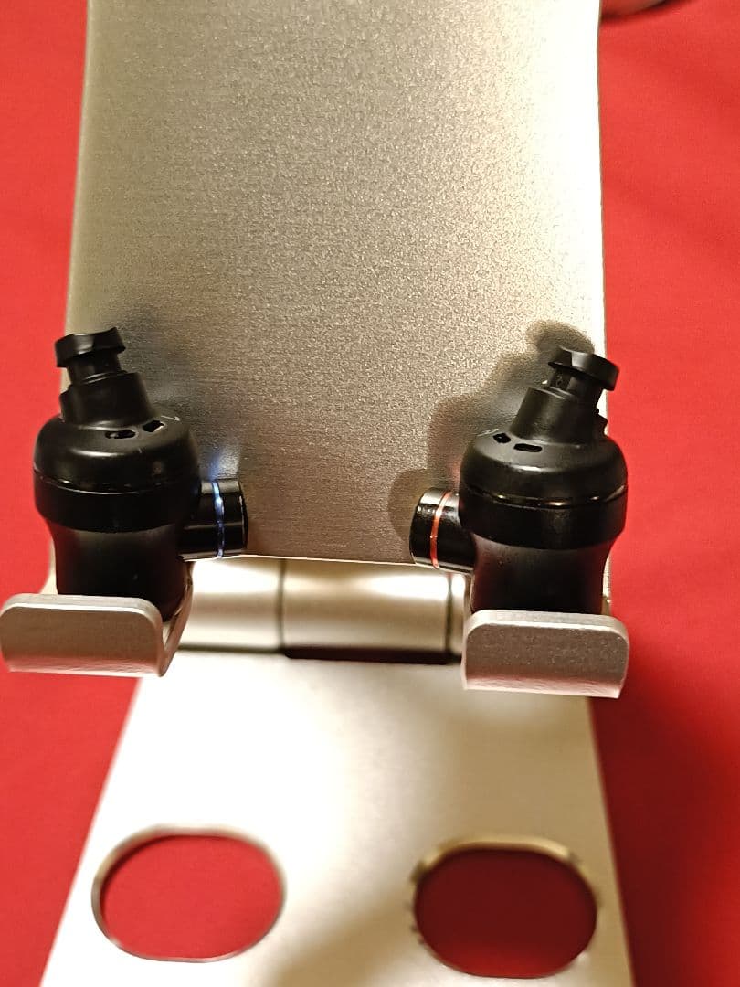 JVC インナーイヤーヘッドホン HA-FW1500-WOOD-