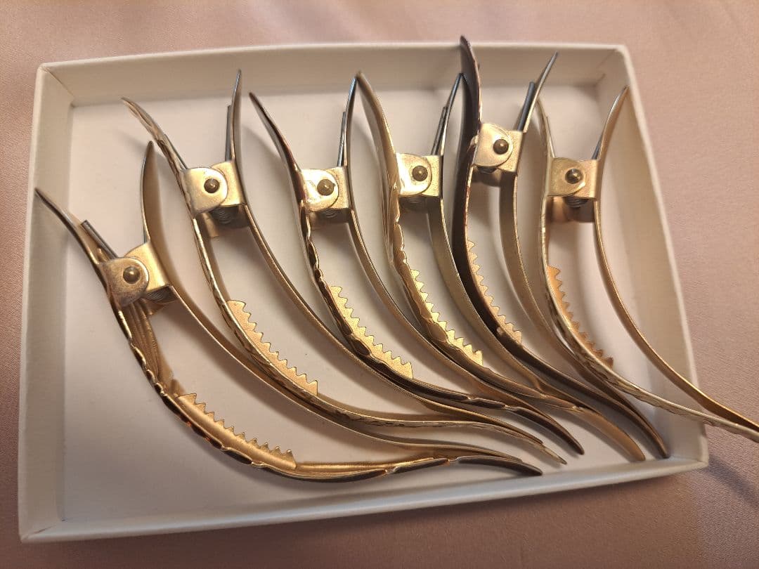 フィカレ　ficcare ヘアクリップ　セット