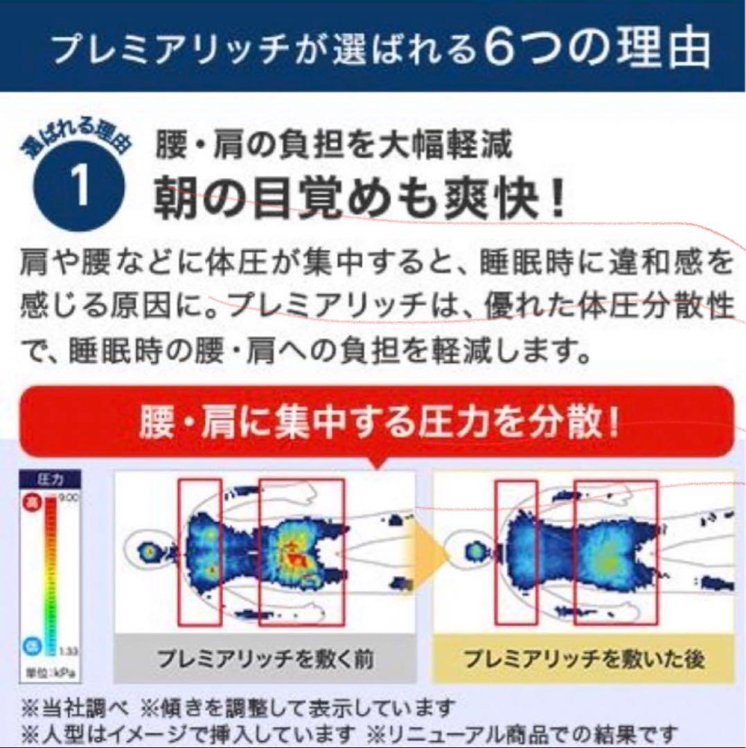 トゥルースリーパープレミアリッチ ショップジャパンシングルセット