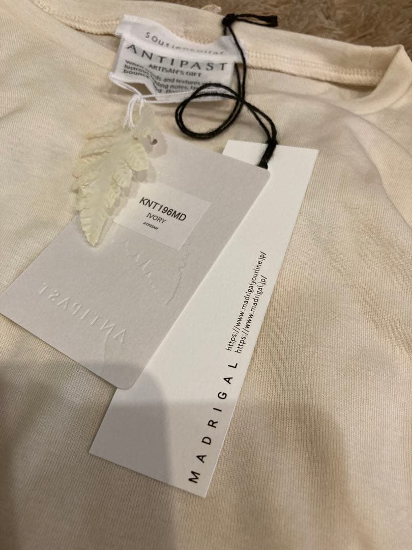 新品ANTIPAST ピエタスリーブ　soutiencollar