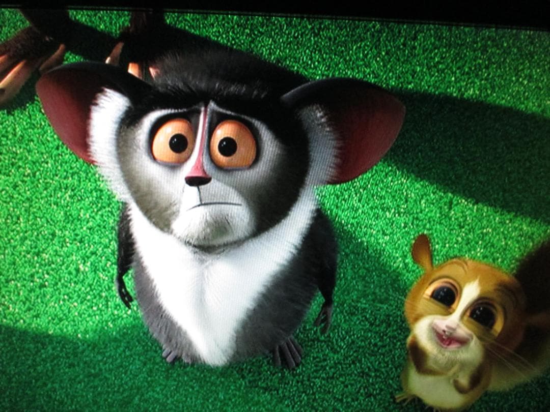 美品☆日立 2番組同時録画 BDレコーダー Wooo DVL-BR10